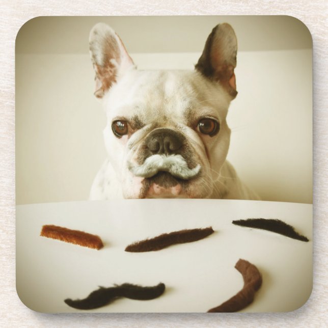French Bulldog With A Moustache Coaster (Front)