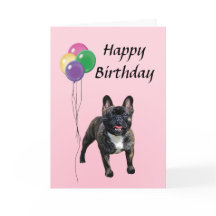 French Bulldog with Balloons Happy Birthday