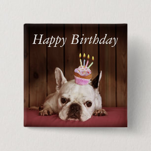 French Bulldog With Birthday Cupcake 2 Inch Square Button