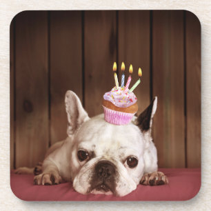 French Bulldog With Birthday Cupcake Coaster