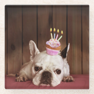 French Bulldog With Birthday Cupcake Glass Coaster