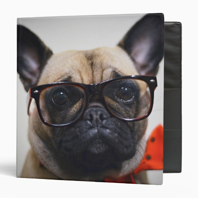 French Bulldog With Glasses And Bow Tie Binder (Front/Inside)