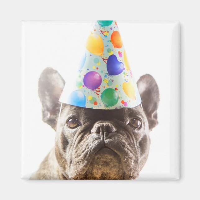 French Bulldog with Party Hat Magnet (Front)