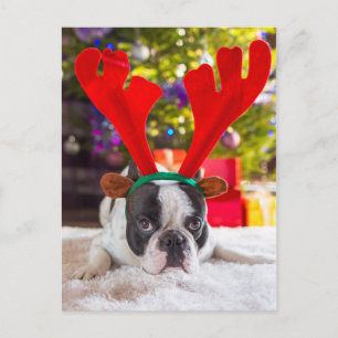 French Bulldog With Reindeer Horns Postcard