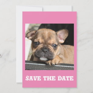 French Bulldogge Invitation