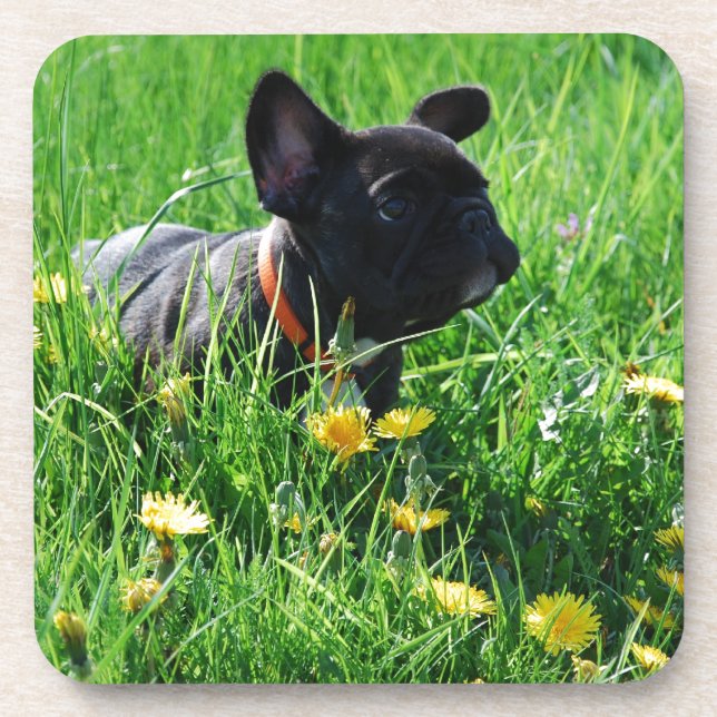 French Bulldoggen Coaster (Front)