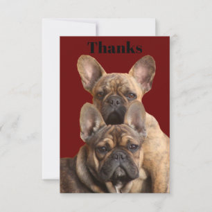 French Bulldoggen Invitation
