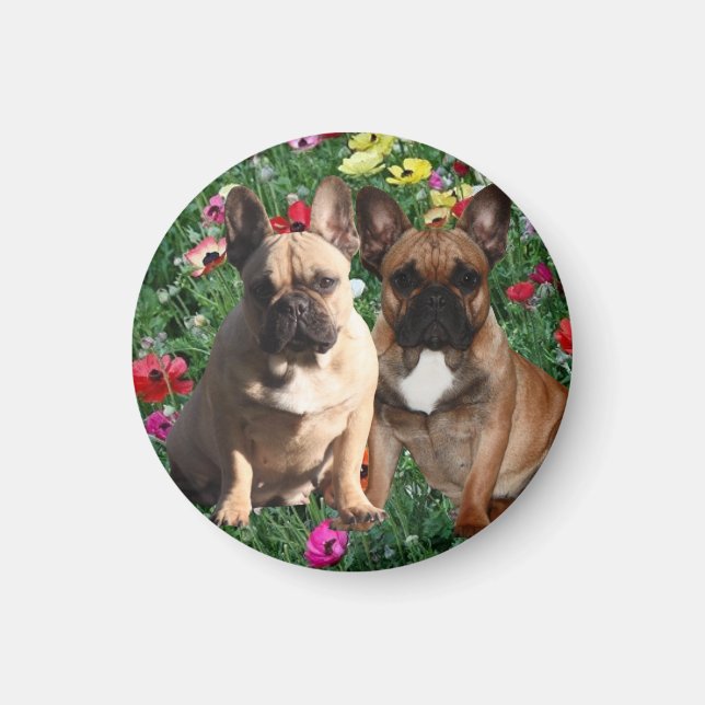 French bulldoggen magnet (Front)