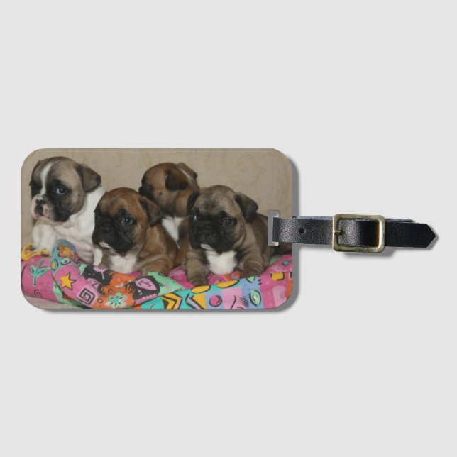 French Bulldoggen puppies Luggage Tag (Front Horizontal)