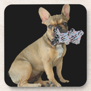 French Bulldoggen reductor Coaster