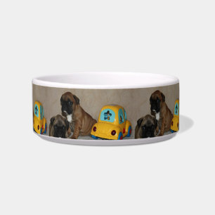 French Bulldoggen Wassernapf Bowl