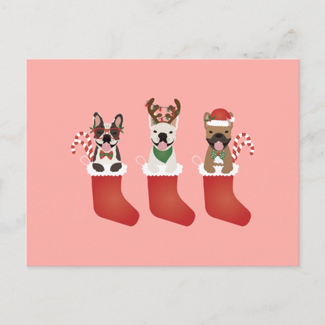 French Bulldogs Christmas Stockings Postcard (Front)
