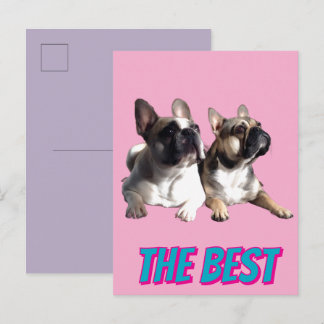 French Bulldogs French Bulldog the Best Invitation Postcard
