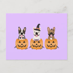 French Bulldogs Pumpkin Postcard