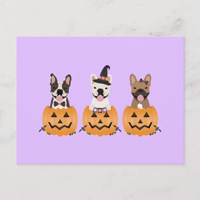 French Bulldogs Pumpkin Postcard (Front)