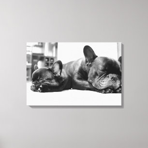 French bulldogs puppies sleeping side by side canvas print