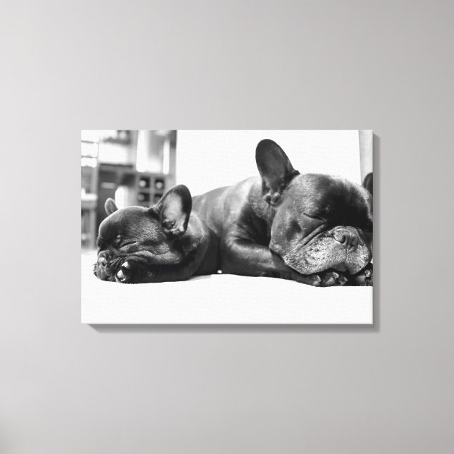 French bulldogs puppies sleeping side by side canvas print (Front)