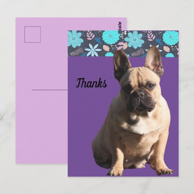 French Bulldogs thank you French Bulldog Postcard (Front/Back)