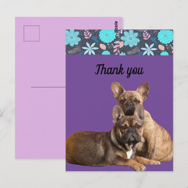 French Bulldogs thank you French Bulldog Postcard (Front/Back)