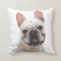 French Bullodg American Mojo pillow