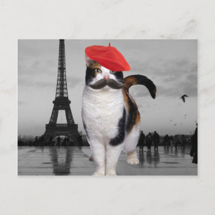 French Cat in Paris Postcard
