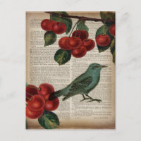 french country bird retro botanical red cherry