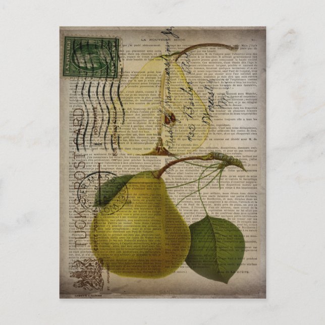 french country botanical illustration vintage pear postcard (Front)