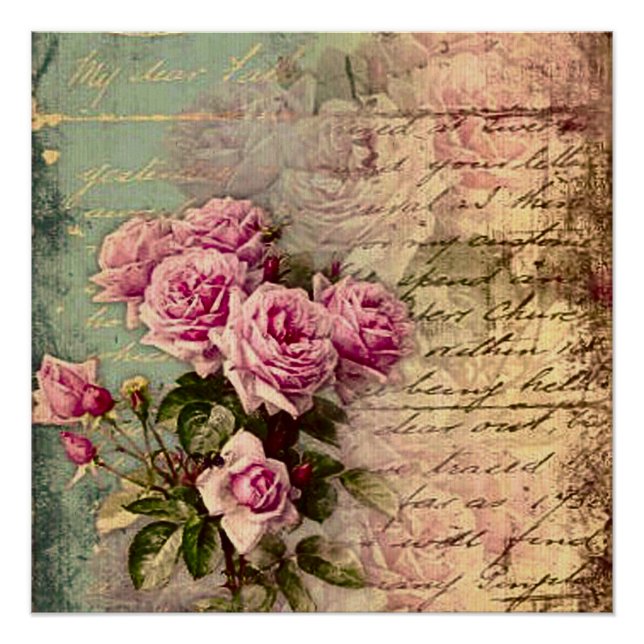 French country chic,shabby chic, pink roses, flora poster (Front)