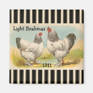 French Country Rooster Hen Poultry Fridge Magnet