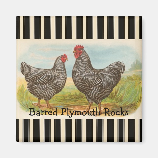 French Country Rooster Hen Poultry Fridge Magnet (Front)