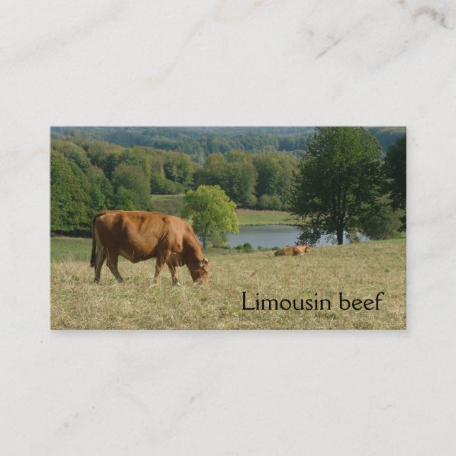 French countryside with Limousin cows Business Card (Front)