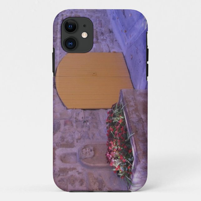 French Courtyard iPhone5 Case (Back)