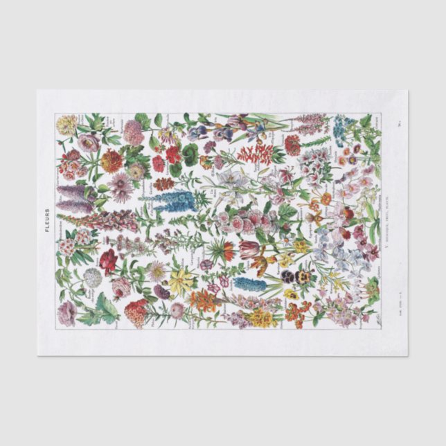 French Dictionary Plate Print-No.22137-Flowers/Fle Tissue Paper (Front)