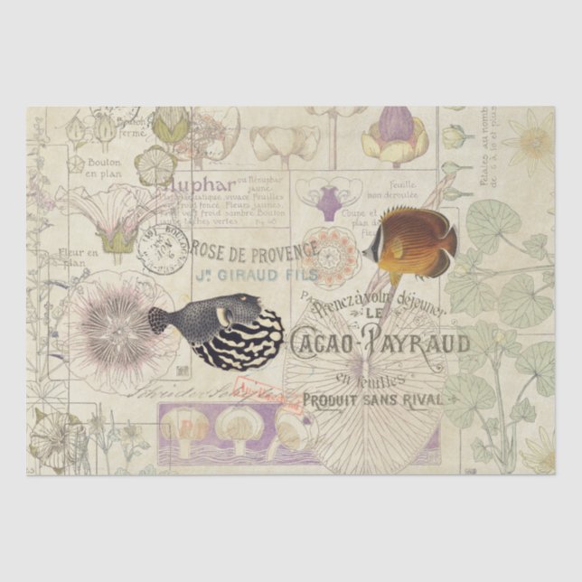 French Ephemera Art Nouveau Flower Fish Tissue Paper (Front)
