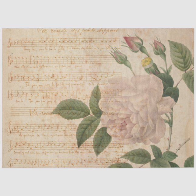 French Ephemera Tissue Paper (Front)