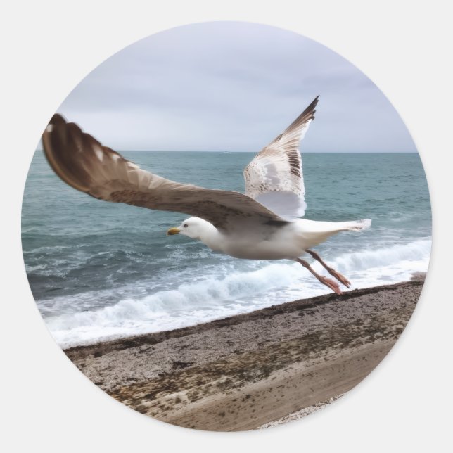 French Etretat seagull Classic Round Sticker (Front)
