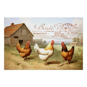 French Farmhouse Chicken Barn Hen Bird Postmark Poster