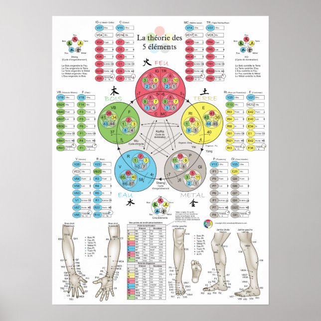 French Five Elements Acupuncture Poster (Front)