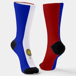French flag-coat of arms socks