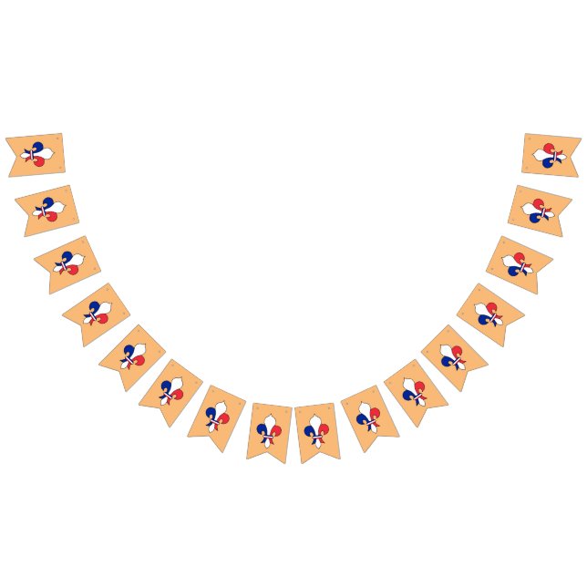 French Flag & Fleur De Lys Party France / Banners  (All)