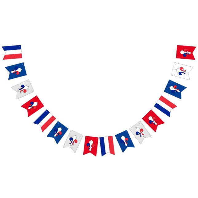 French Flag & Fleur De Lys Party France / Banners  (All)
