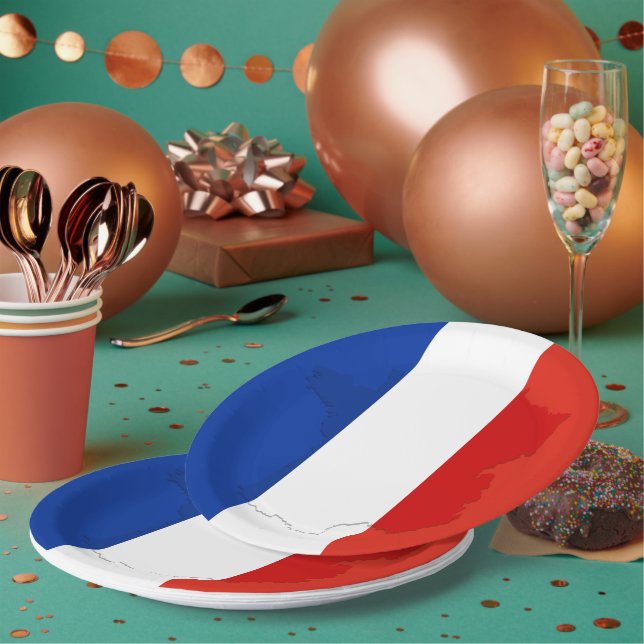 French flag paper plate (Multi)