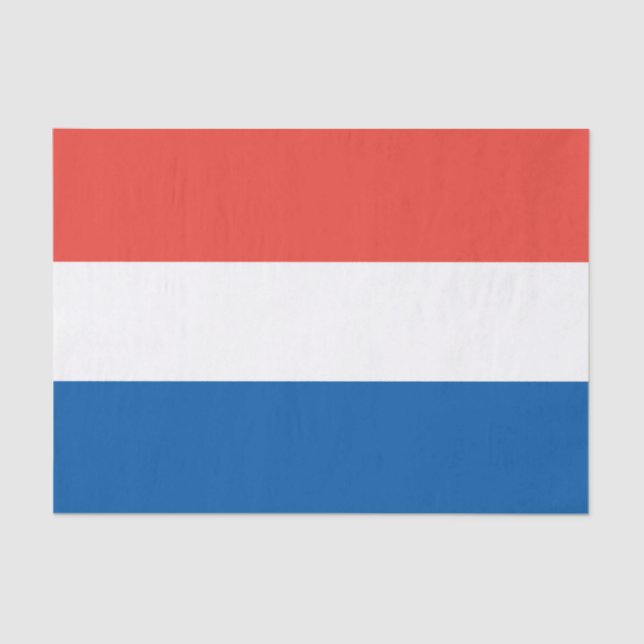 French Flag, Vive la France, Bastille Day Party Tissue Paper (Front)