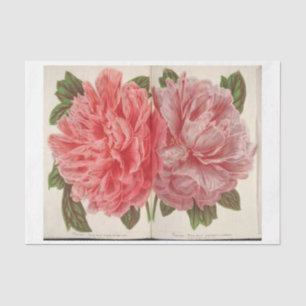French Floral Ephemera Decoupage Two Pink Peony Tissue Paper