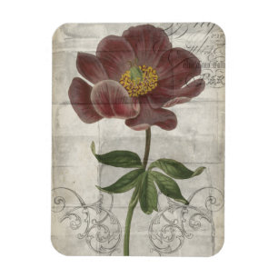 French Floral I Magnet