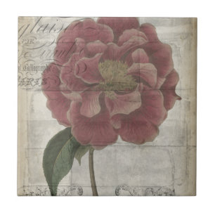 French Floral III Tile