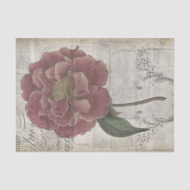 French Floral III Tissue Paper (Front)