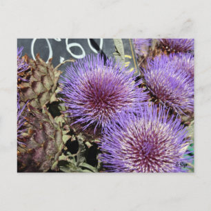 French Flower Market Purples Postcard