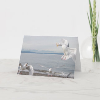 french fries frenzy card