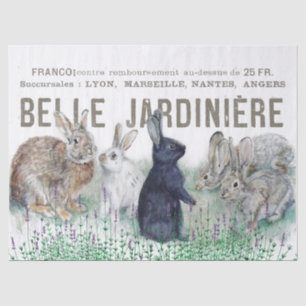 French Garden Vintage Bunny Rabbit Decoupage Bloom Tissue Paper